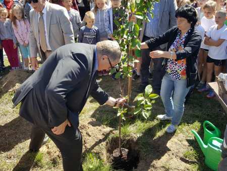 Wielki dzień dla pszczół