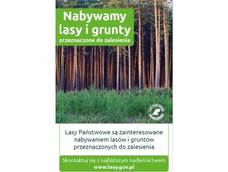 Będą nowe lasy – kupują tereny pod zalesianie