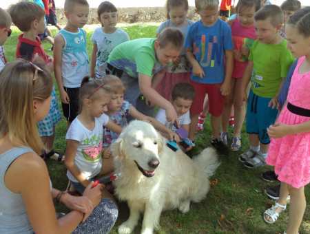 Dogoterapia w bralińskim przedszkolu