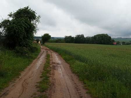Dofinansowanie na drogi polne