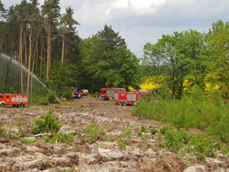 Wiedzą, jak gasić pożary lasów