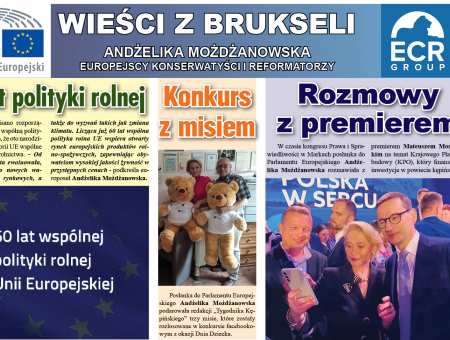 Konkurs z misiem