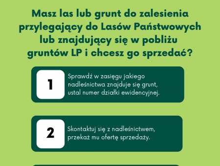 Kupimy Twój las