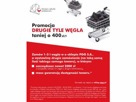 Kiedy kupić węgiel?